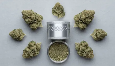 Grinder pour fleurs de CBD : le guide complet pour bien choisir