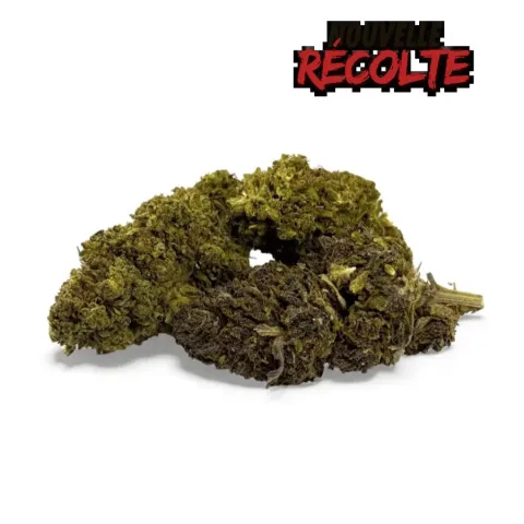 CBD’EAU Mandarine Haze Greenhouse