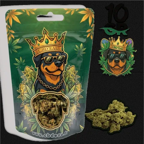 CBD’EAU Lemon Haze 10 g vorverpackt