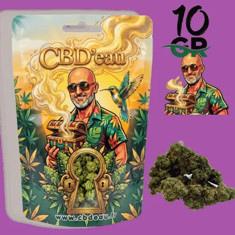CBD’EAU California Kush 10 g vorverpackt
