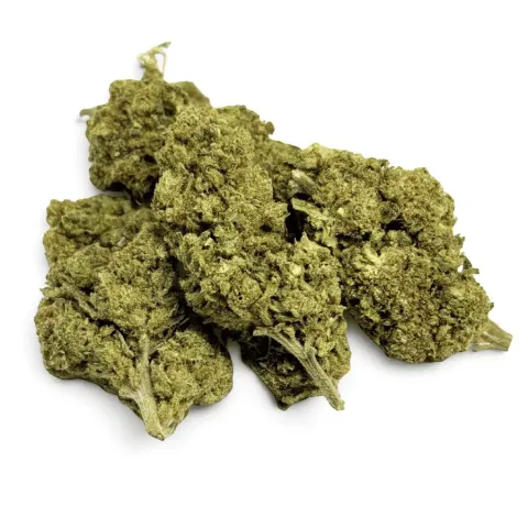 CBD’EAU Great White Shark Greenhouse