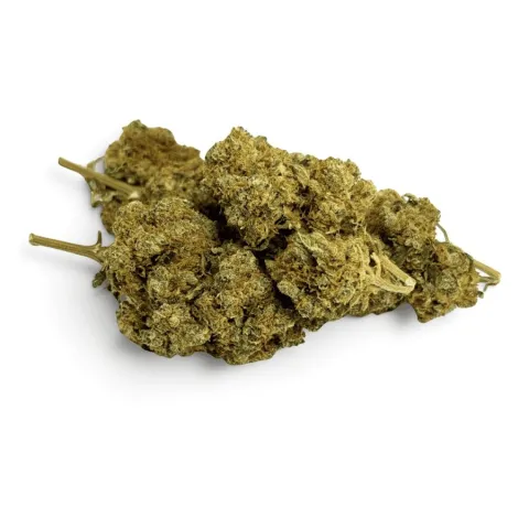 CBD’EAU Orangello Indoor