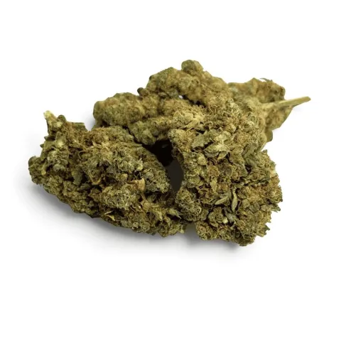 CBD’EAU Plutonium Indoor