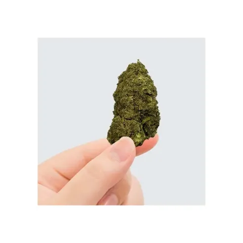CBD'EAU CBD Çiçeği Pink Lady Kush