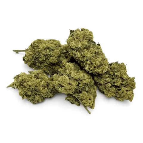 CBD'EAU CBD Çiçeği Bubblegum Indoor