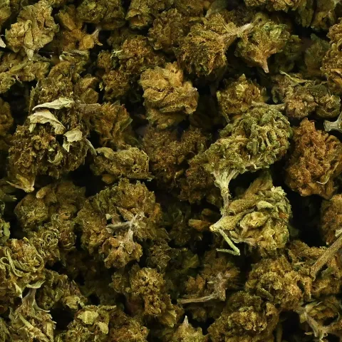 CBD'EAU CBD flower Mixed Small & Big Bud