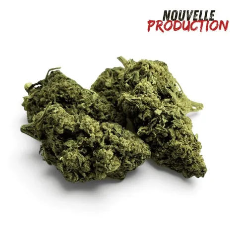 CBD’EAU Tropical Haze Indoor