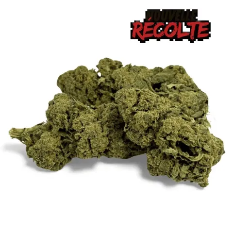 CBD’EAU Candy Kush Greenhouse