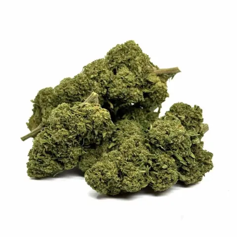 CBD’EAU Gorilla Glue Greenhouse