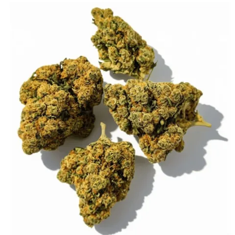 CBD’EAU Buddha Fruit Premium Indoor