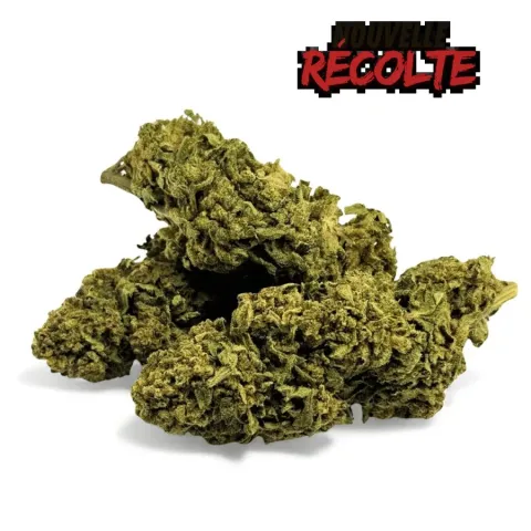 CBD’EAU Banana Smash Greenhouse