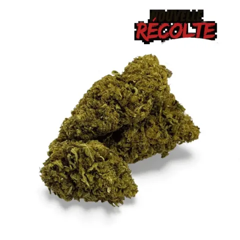 CBD’EAU Sour Lime Haze Greenhouse
